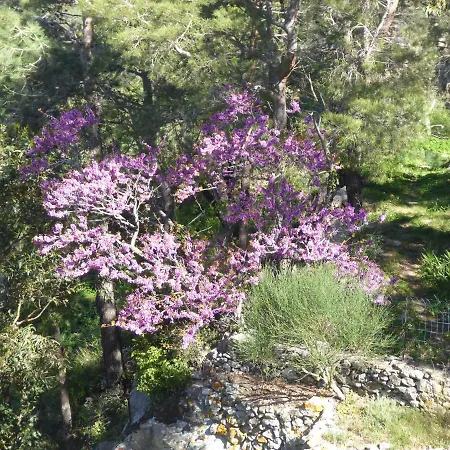 Maison-les-calanches Nyaraló